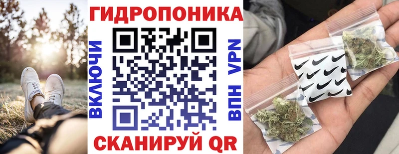 дарнет шоп Петропавловск-Камчатский Каннабис ГИДРОПОН